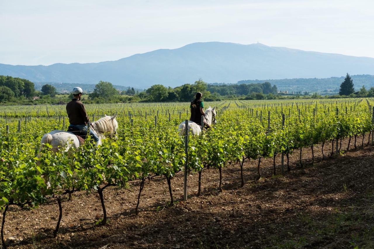 Chateau La Croix Des Pins มาซอง ภายนอก รูปภาพ